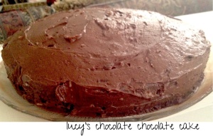 Lucy's Chocolate Chocolate Cake