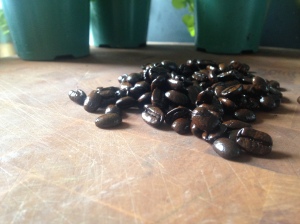 KBB_coffee_beans